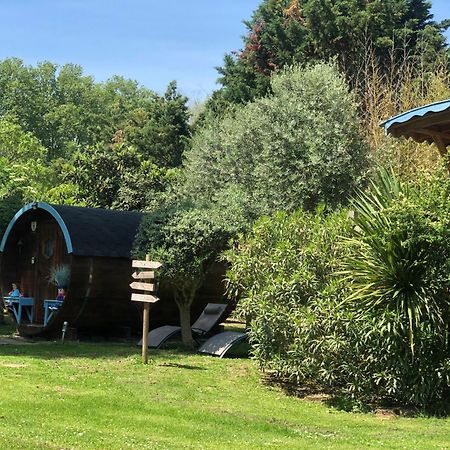 Montesquieu-Lauragais La Bastide De Negra Bed & Breakfast エクステリア 写真