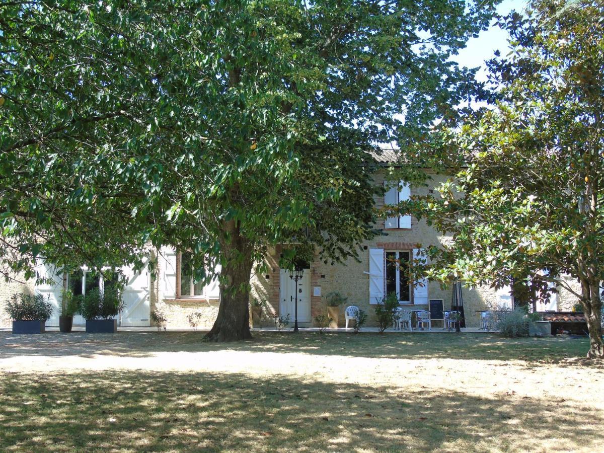 Montesquieu-Lauragais La Bastide De Negra Bed & Breakfast エクステリア 写真