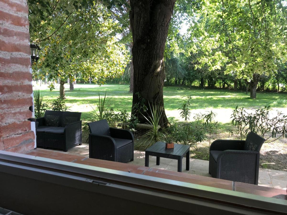 Montesquieu-Lauragais La Bastide De Negra Bed & Breakfast エクステリア 写真