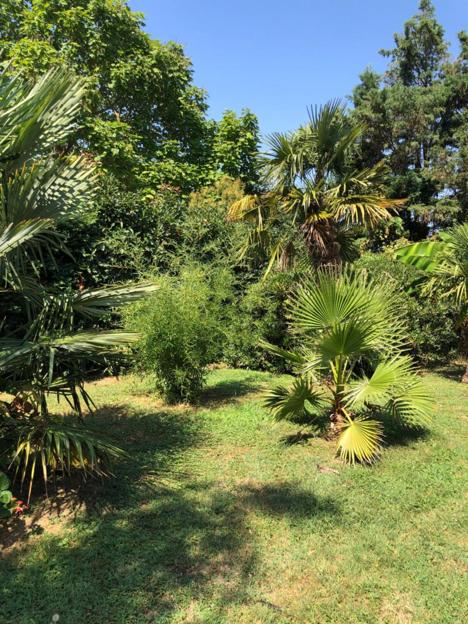 Montesquieu-Lauragais La Bastide De Negra Bed & Breakfast エクステリア 写真