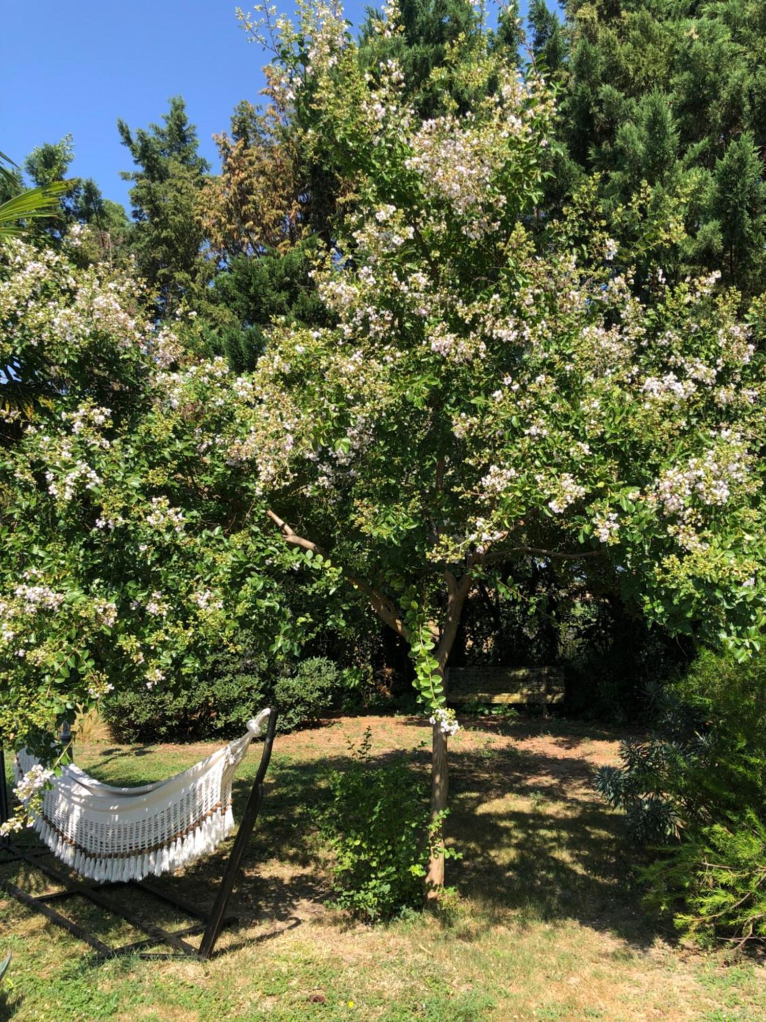 Montesquieu-Lauragais La Bastide De Negra Bed & Breakfast エクステリア 写真