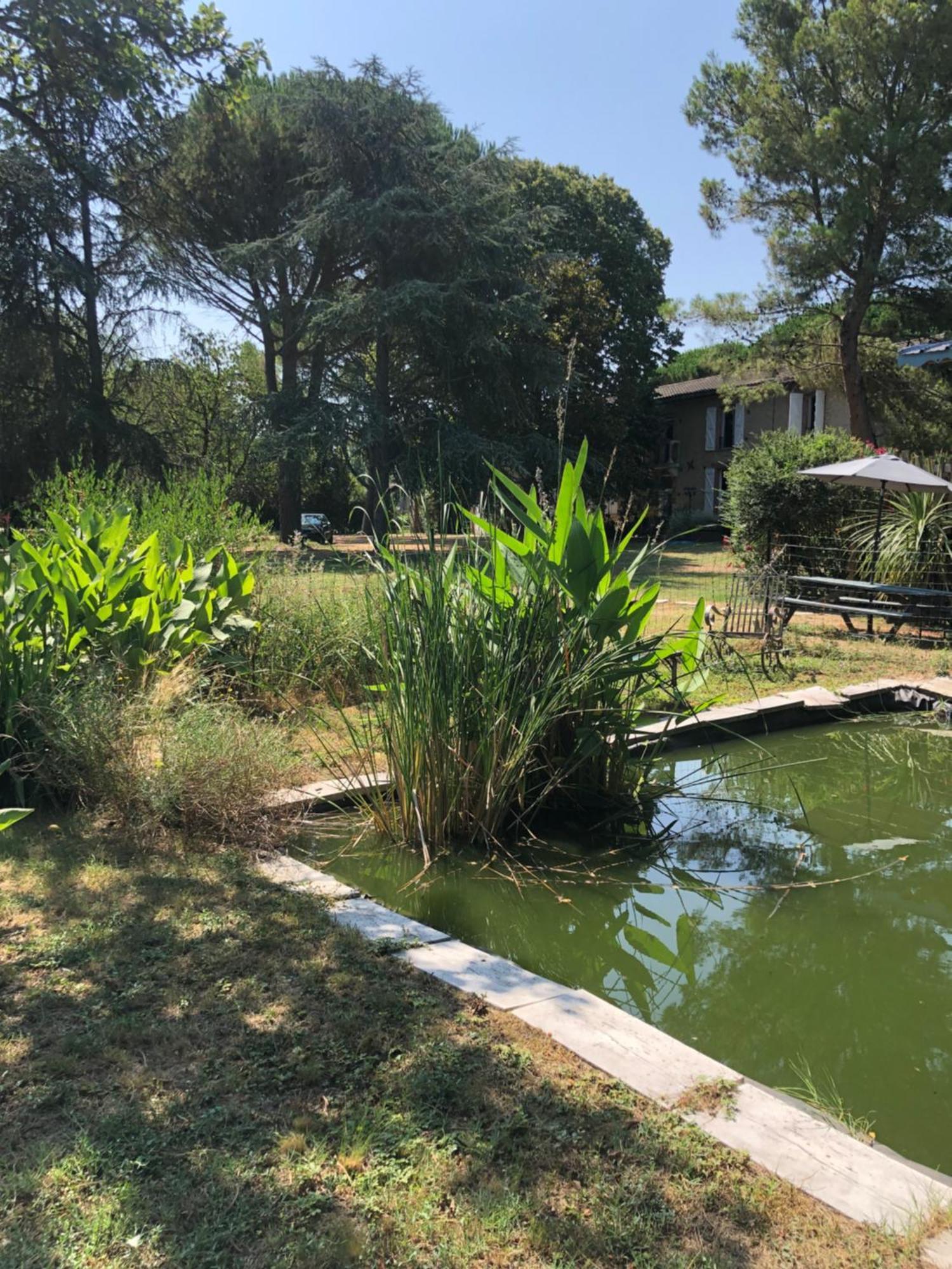 Montesquieu-Lauragais La Bastide De Negra Bed & Breakfast エクステリア 写真