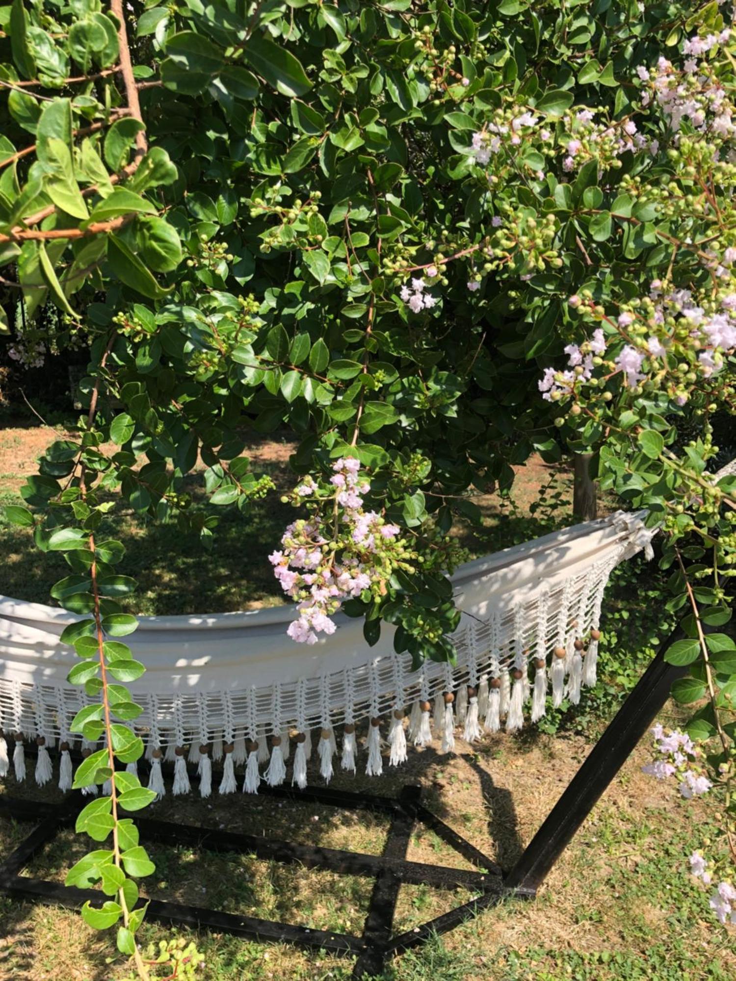 Montesquieu-Lauragais La Bastide De Negra Bed & Breakfast エクステリア 写真