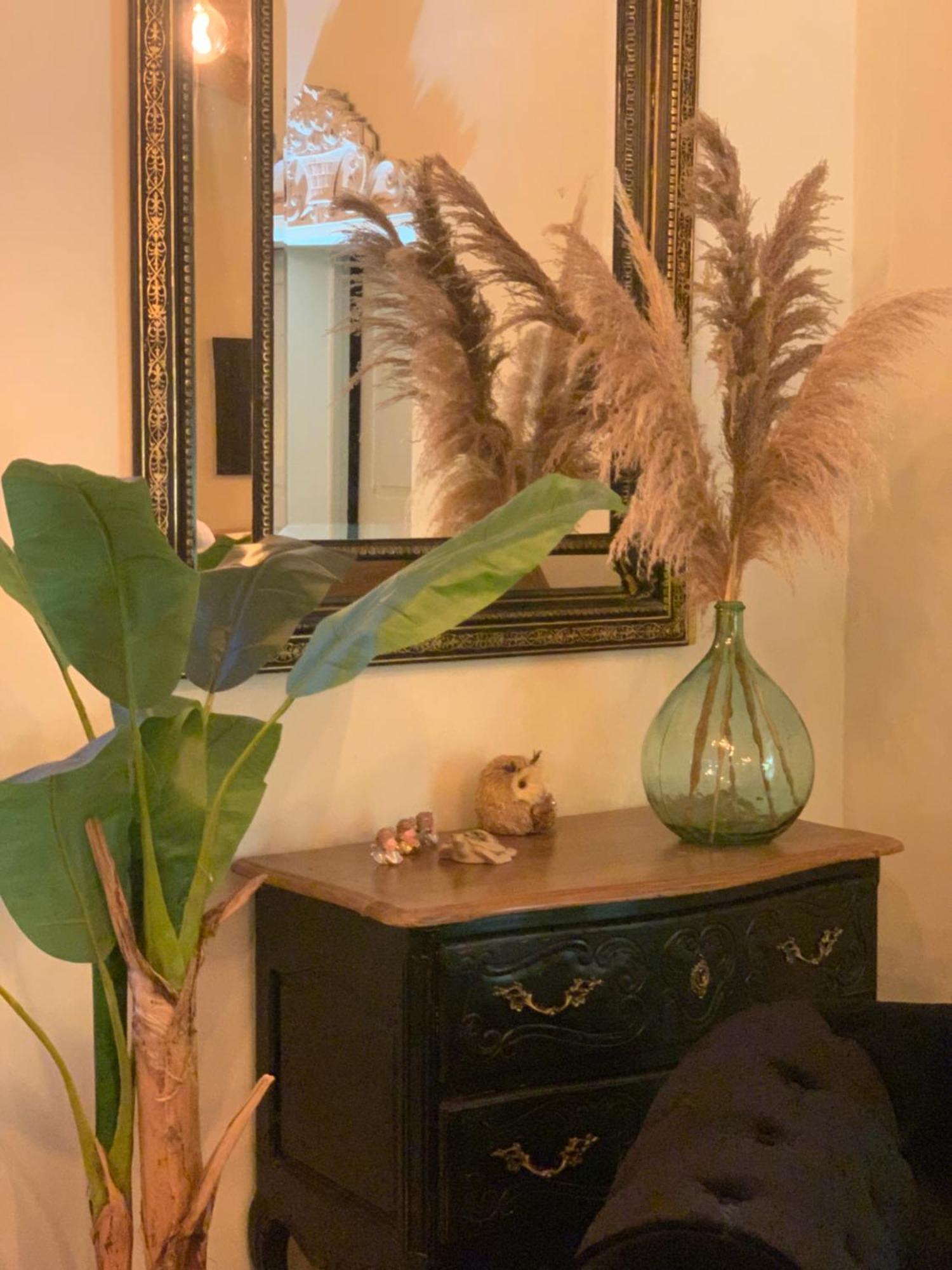 Montesquieu-Lauragais La Bastide De Negra Bed & Breakfast エクステリア 写真