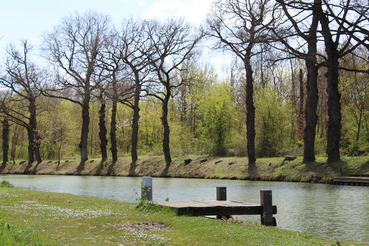 Montesquieu-Lauragais La Bastide De Negra Bed & Breakfast エクステリア 写真