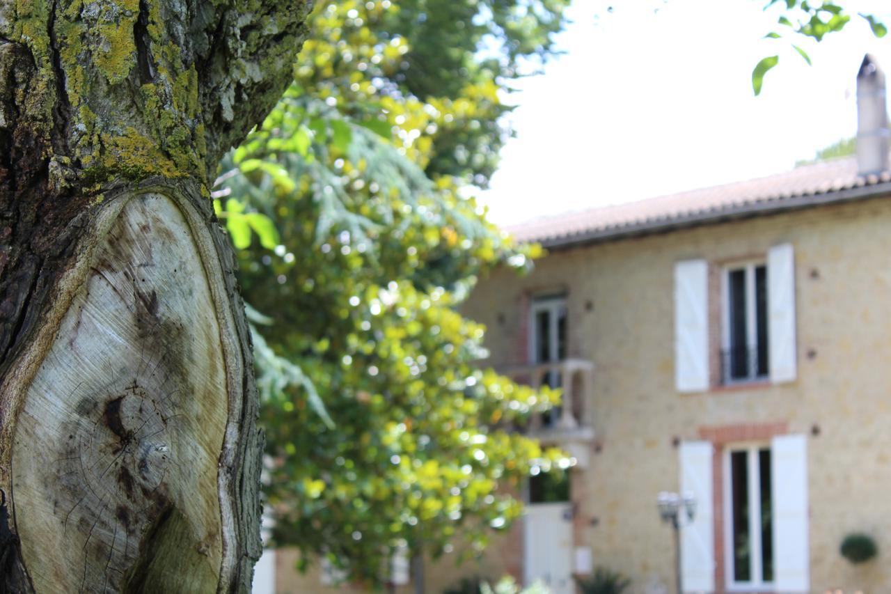 Montesquieu-Lauragais La Bastide De Negra Bed & Breakfast エクステリア 写真