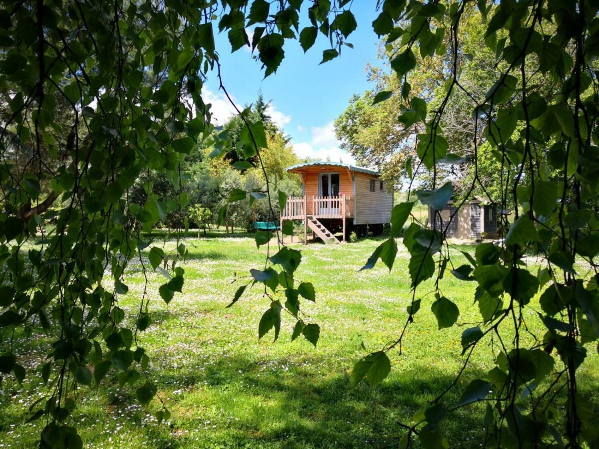 Montesquieu-Lauragais La Bastide De Negra Bed & Breakfast エクステリア 写真