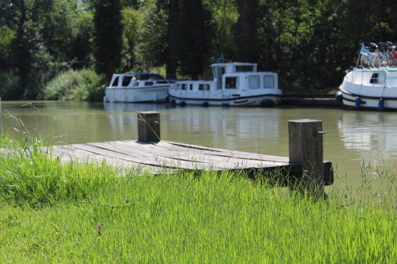 Montesquieu-Lauragais La Bastide De Negra Bed & Breakfast エクステリア 写真